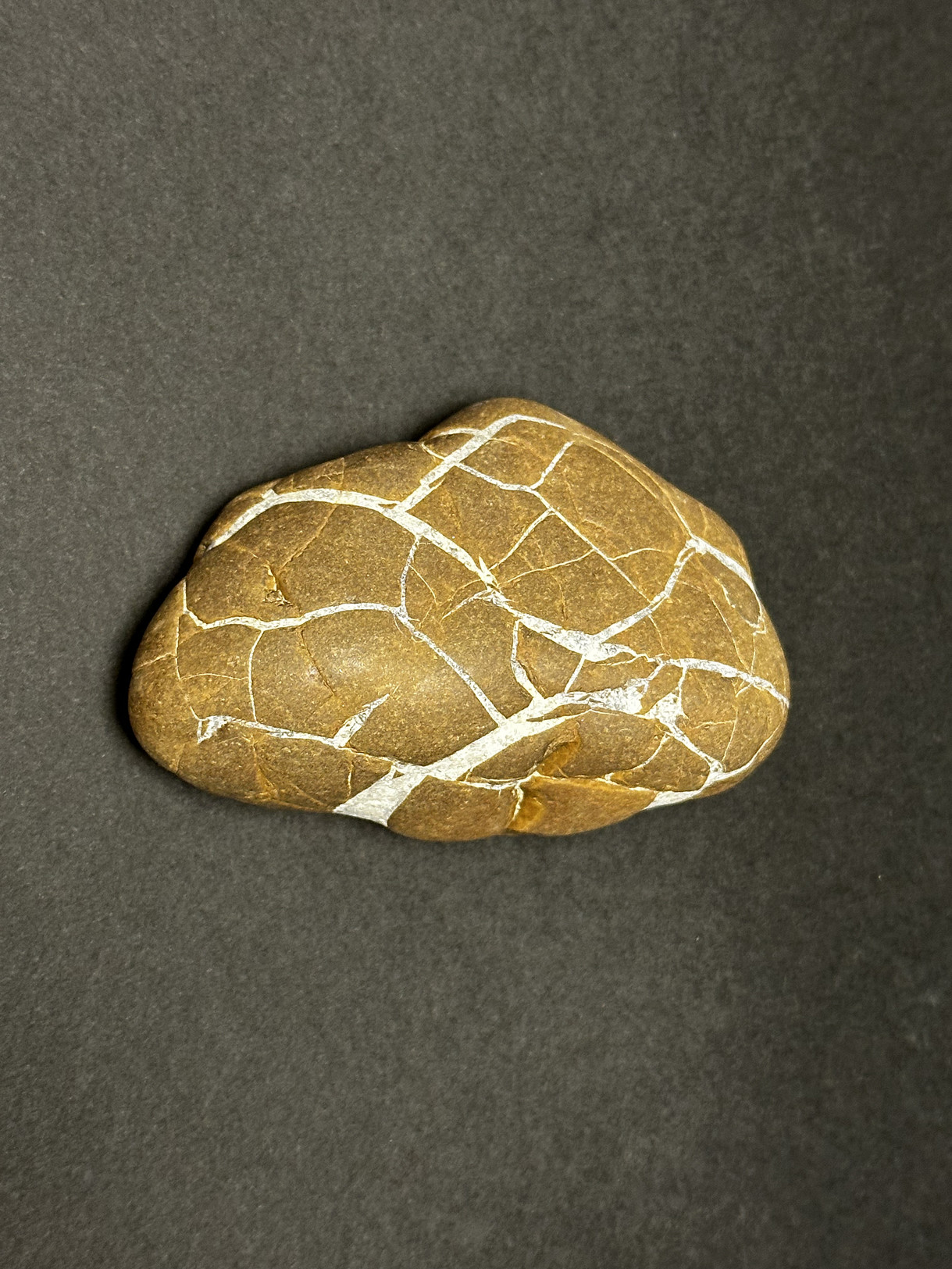 Septarian Nodule specimen