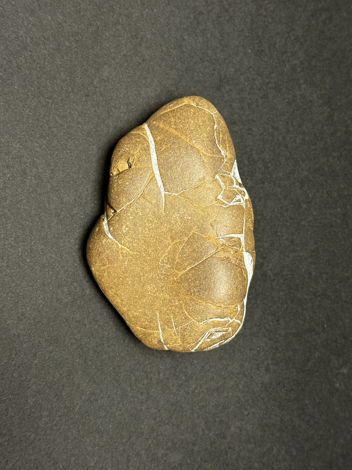 Septarian Nodule specimen