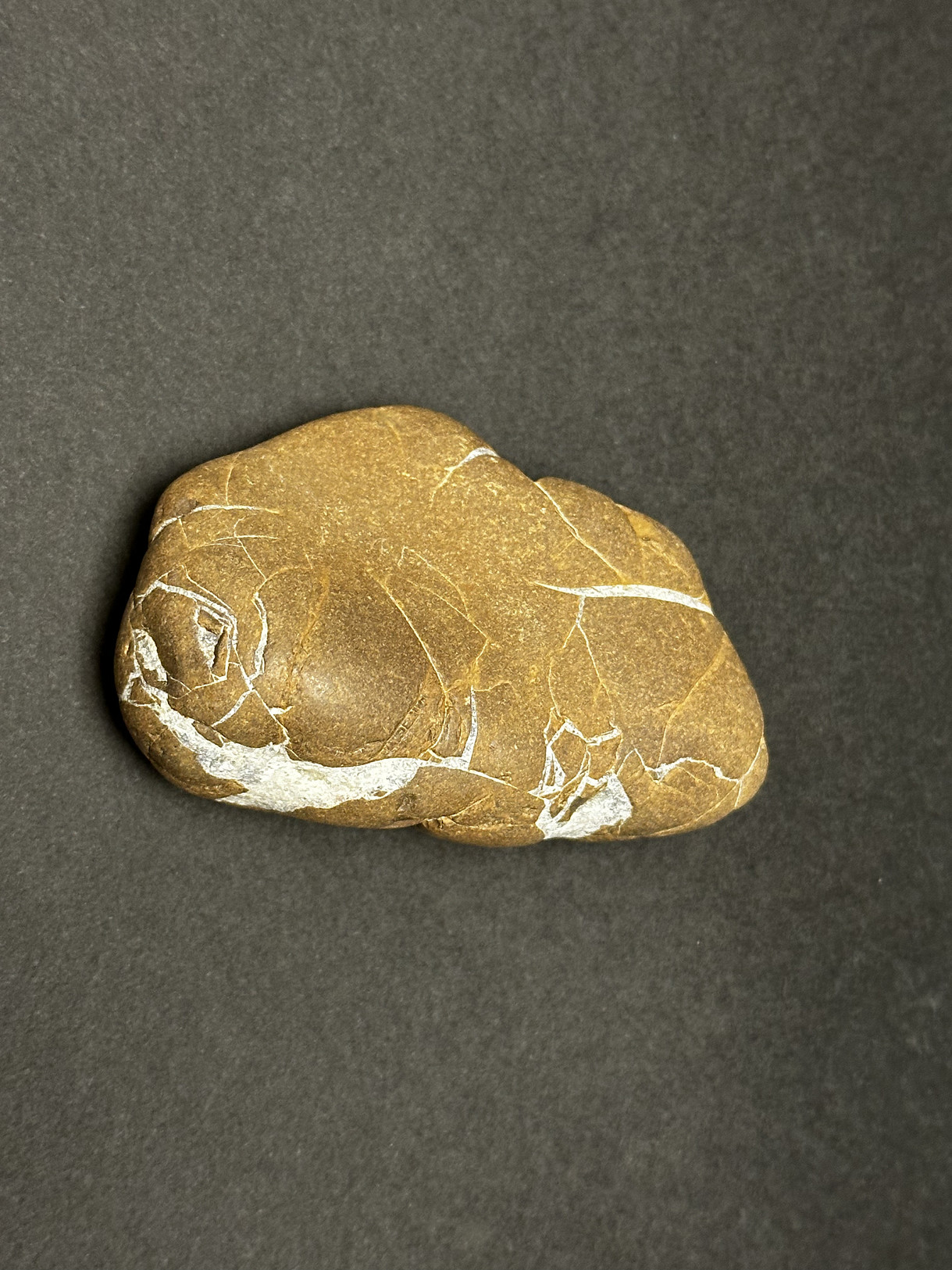 Septarian Nodule specimen