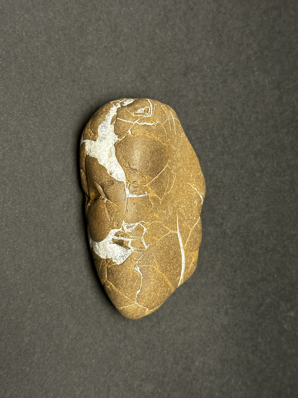 Septarian Nodule specimen