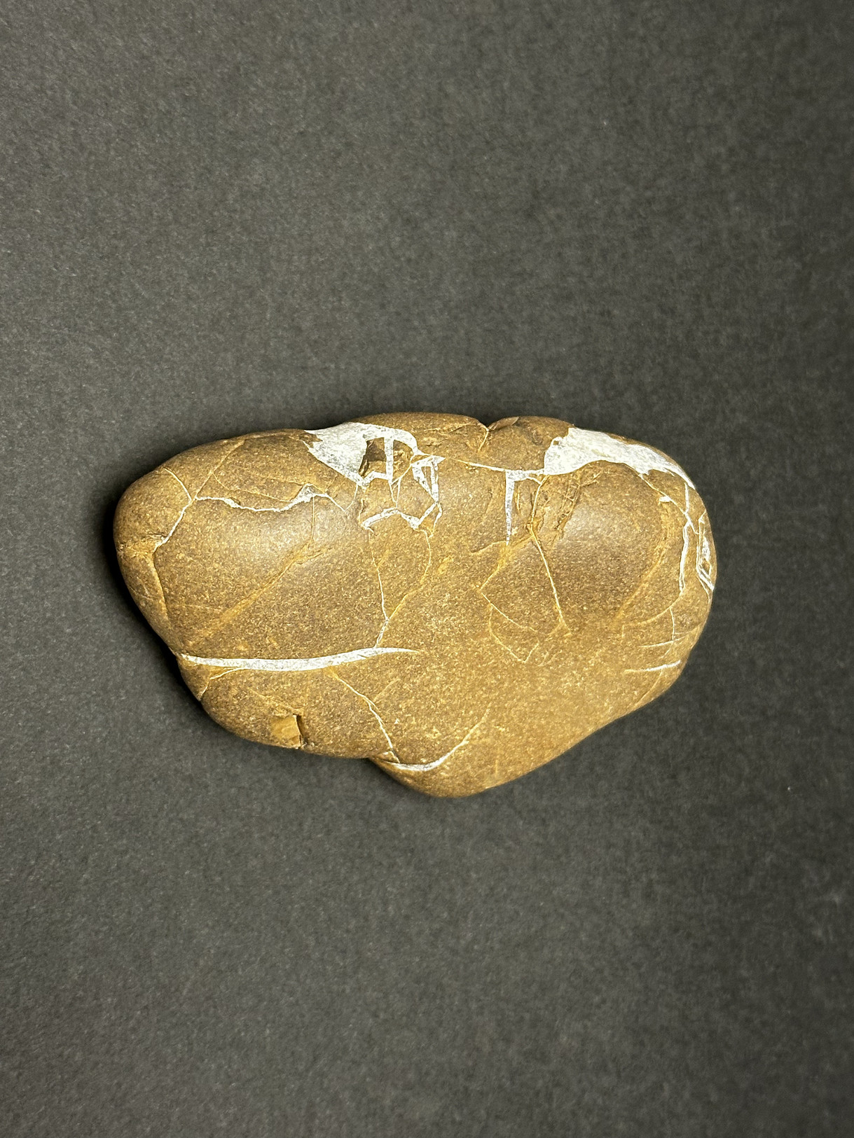 Septarian Nodule specimen