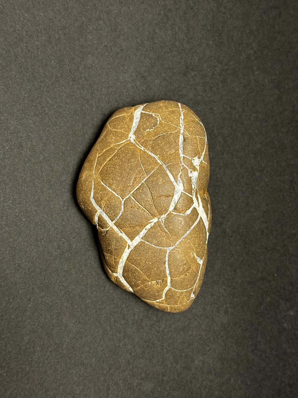 Septarian Nodule